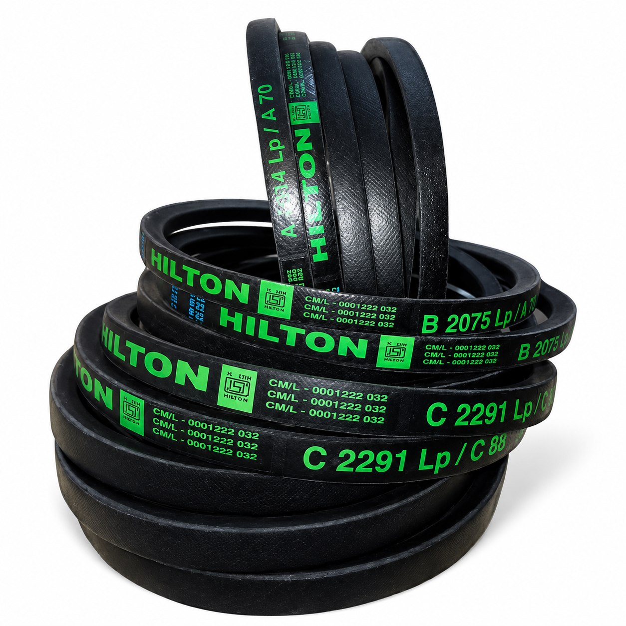 hilton v-belt